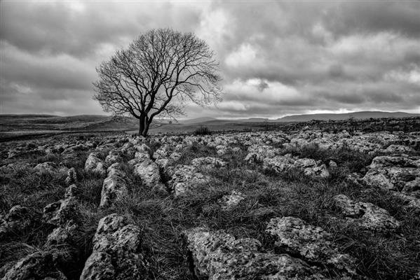 npw (8).jpg